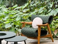 Poltrona Evoluta (10)